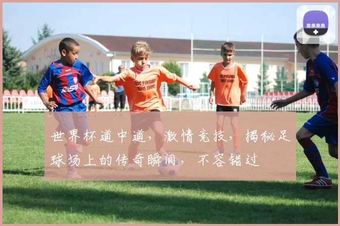 世界杯道中道，激情竞技，揭秘足球场上的传奇瞬间，不容错过