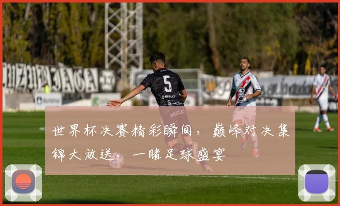 世界杯决赛精彩瞬间，巅峰对决集锦大放送，一睹足球盛宴