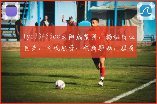 tyc33455cc太阳成集团，揭秘行业巨头，合规经营，创新驱动，服务至上