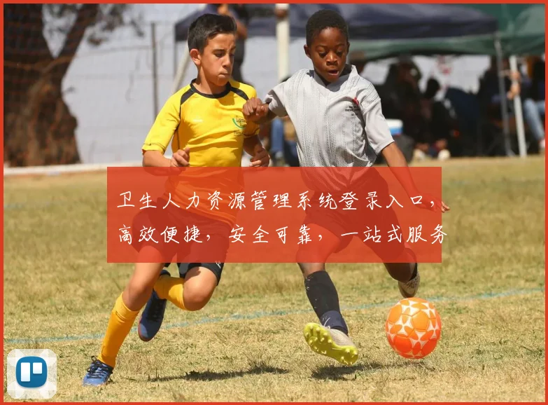 卫生人力资源管理系统登录入口，高效便捷，安全可靠，一站式服务三重保障，快速登录