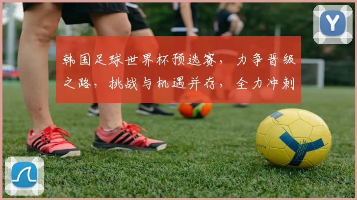 韩国足球世界杯预选赛，力争晋级之路，挑战与机遇并存，全力冲刺