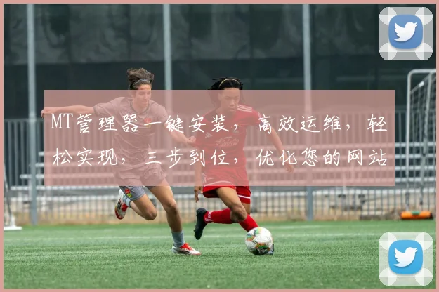 MT管理器一键安装，高效运维，轻松实现，三步到位，优化您的网站体验，