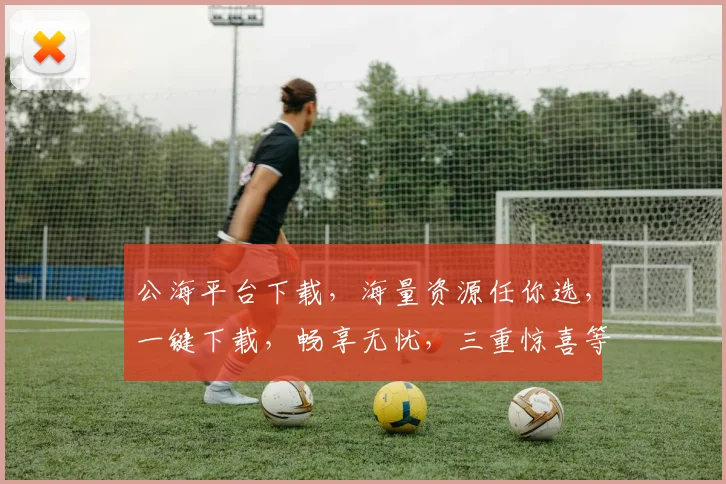 公海平台下载，海量资源任你选，一键下载，畅享无忧，三重惊喜等你来