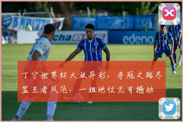丁宁世界杯大放异彩，夺冠之路尽显王者风范，一姐地位无可撼动